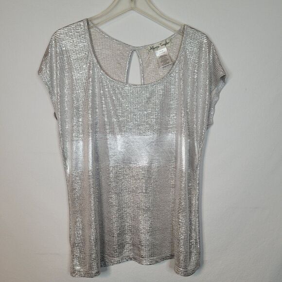 Alexis Taylor Top Womens 2X (20) Silver Cap Sleeve Keyhole Back Shimmer Glam USA - Picture 1 of 9